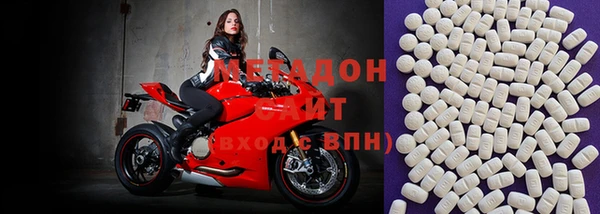 прущие грибы Арсеньев