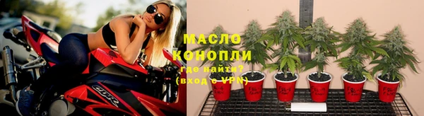 крисы Армянск