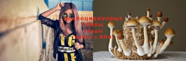 крисы Армянск