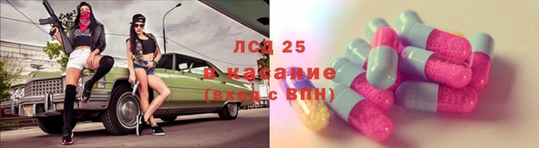 ГАЛЛЮЦИНОГЕННЫЕ ГРИБЫ Аркадак