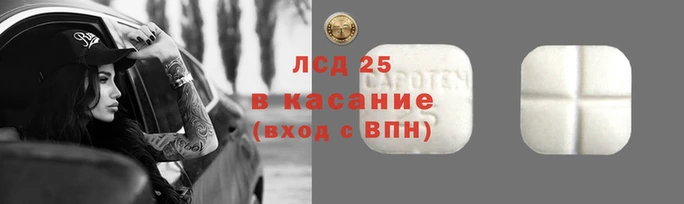 крисы Армянск