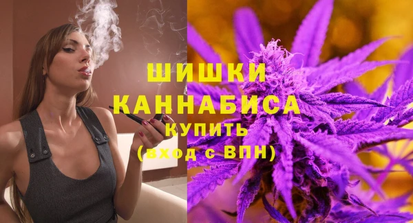 прущие грибы Арсеньев