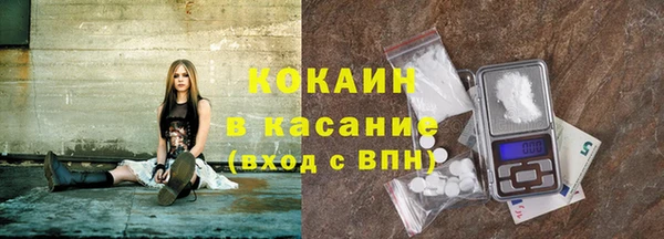 прущие грибы Арсеньев