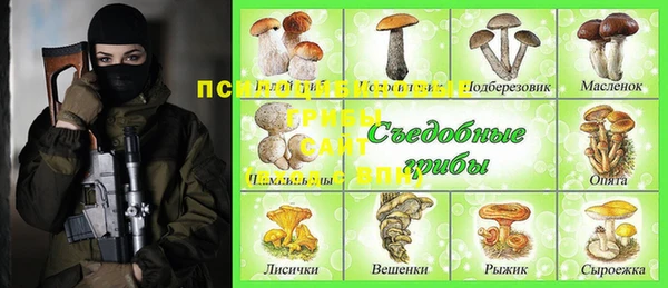 прущие грибы Арсеньев