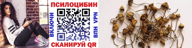 Псилоцибиновые грибы ЛСД  купить наркоту  Ливны 