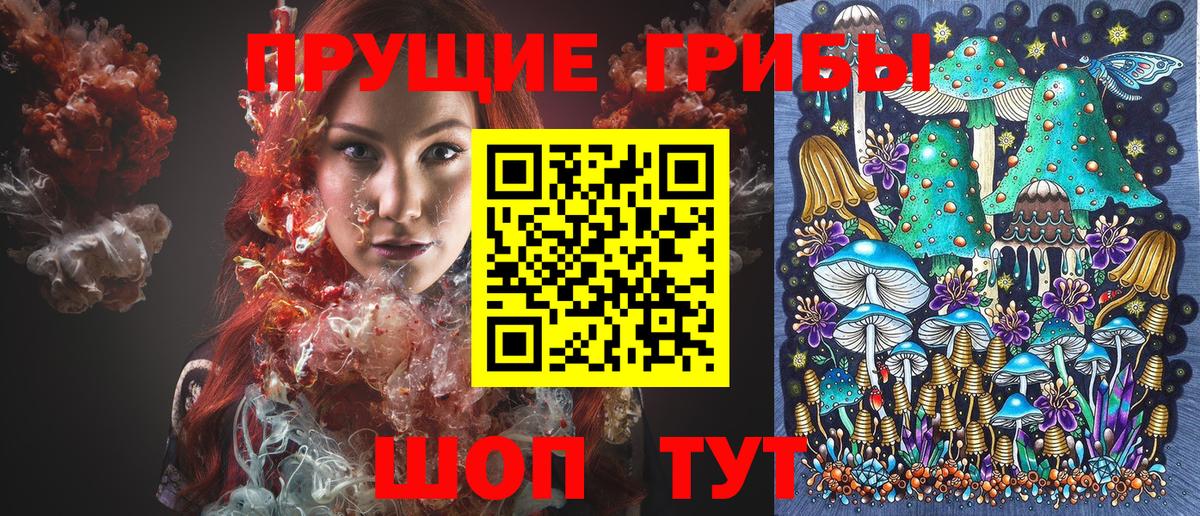 Псилоцибиновые грибы мицелий Ливны
